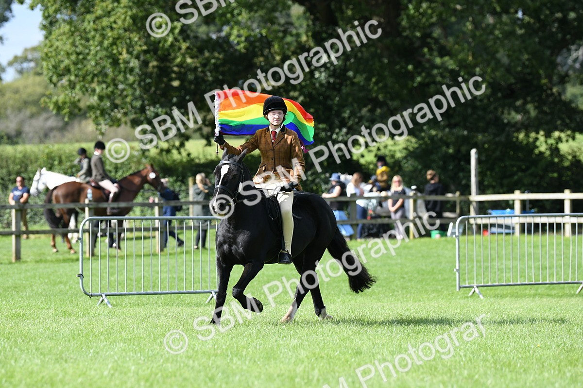 SBM_47054 - S12 - Family Horse & Pony