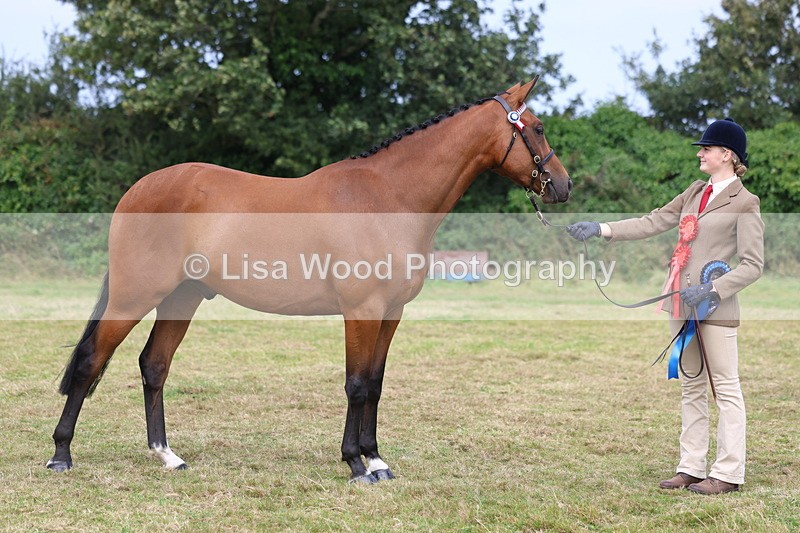 3E7A5729 - In Hand Championship