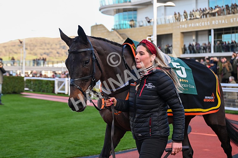 141224-Race 3-Malaita-0432