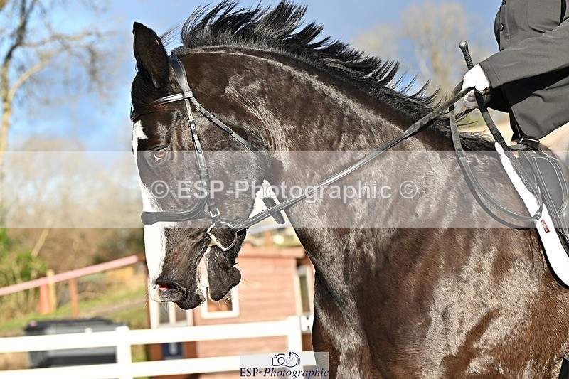 241214-132626-02429 - 119-Rosey.Bradburn-High.Spirits.II