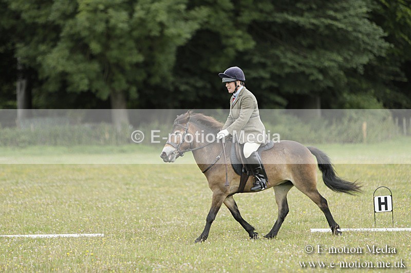 BVR160717-593 - Class 1 & 23a Dressage 16/07/17