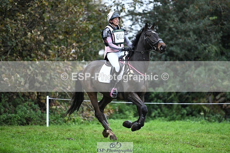 231021-095446-13085 - 603-KILBUNNY.BLUE.BIRD-Claire.Deuten-SC+XC