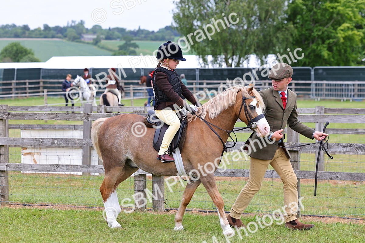 SBM_08083 - Class 42-43 - LIHS BSPS Heritage Working Sports Pony