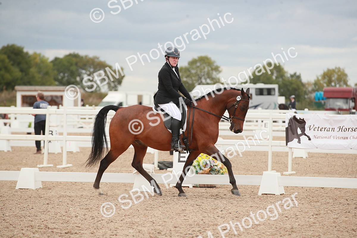 SBM_06062 - Class 32 - Novice 1