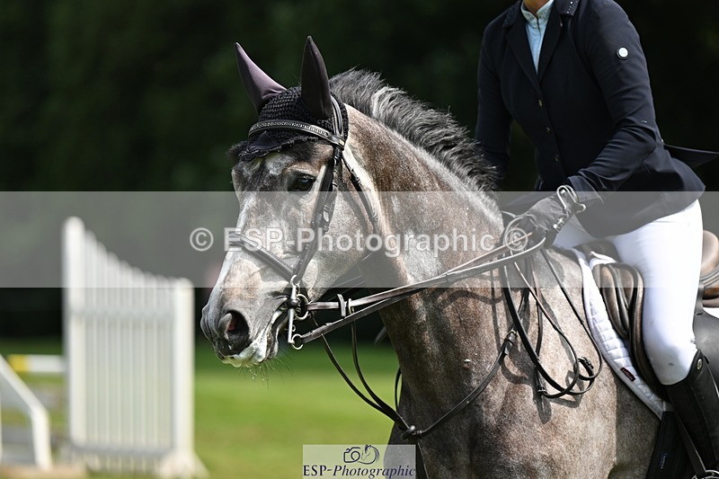 250704A-111914-07223 - Cls 25 Snr British Novice and 90cm