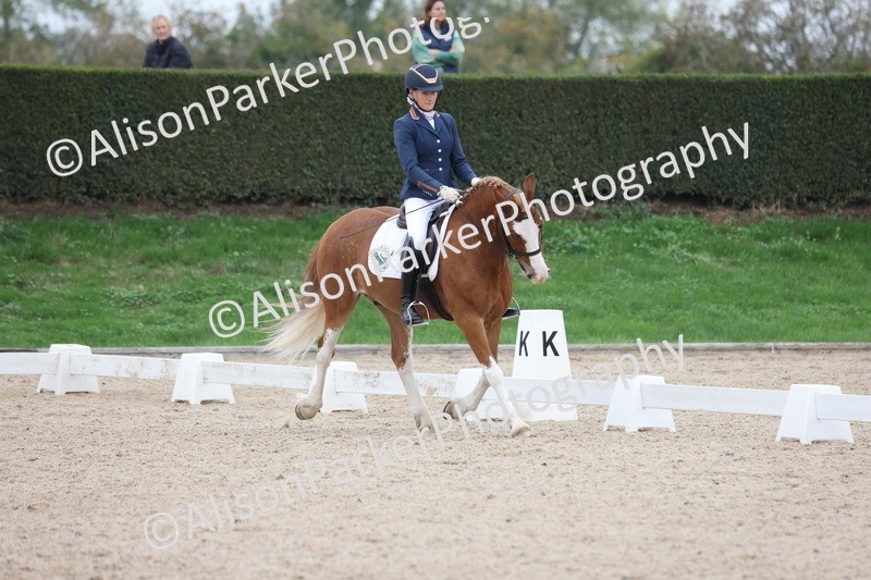 20251011-0400 - Class 4 - Novice 2