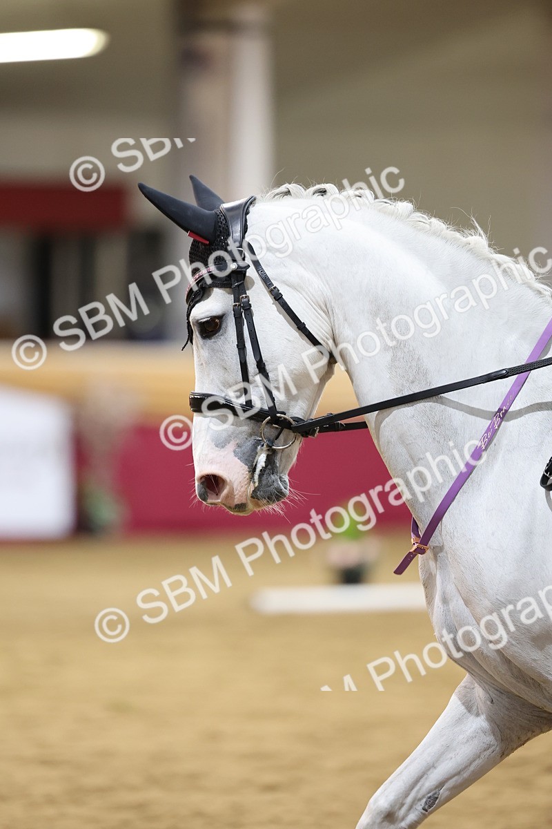 SBM_09519 - Class 51 - Dressage to music