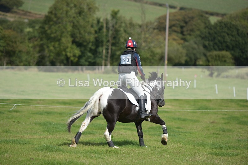 RAY_8670 - Class 2: Trekenning Open: Wall