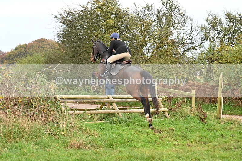 WJ7_0302 - Camera 1 & Last fence