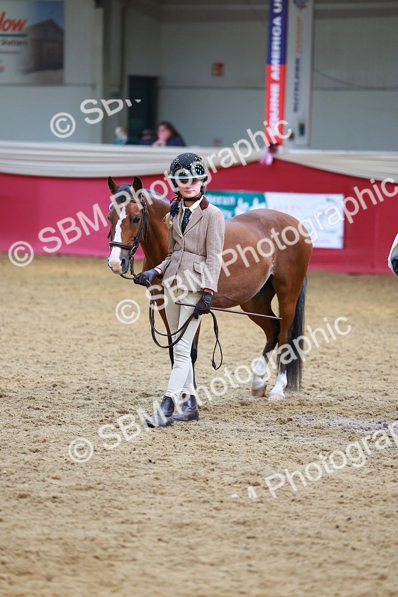 SBM_04296 - Class 9R - IH Pre-Vet