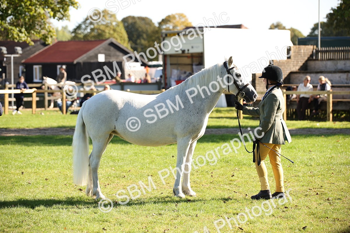 SBM_36632 - S10 - Best In Hand Horse & Pony