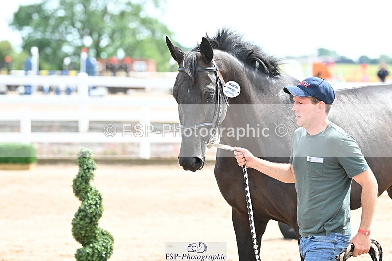240717A-144132-02205 - Trot Up 2pm to 3pm - This folder is not in time order