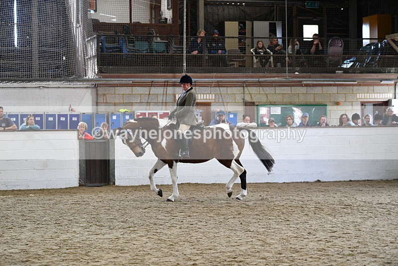 WJ5_6062 - Class 9 Ridden Veteran