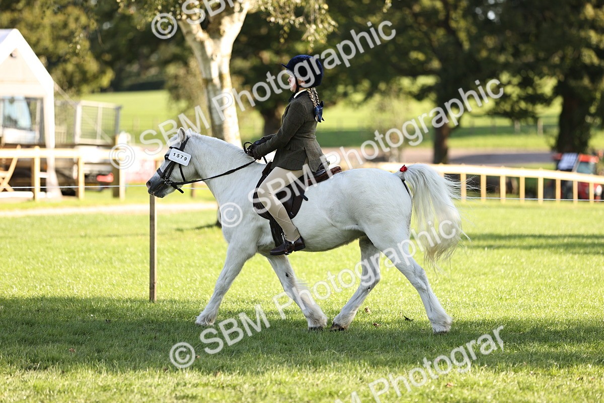 SBM_29448 - S7 - Novice & Newcomers Ridden Pony