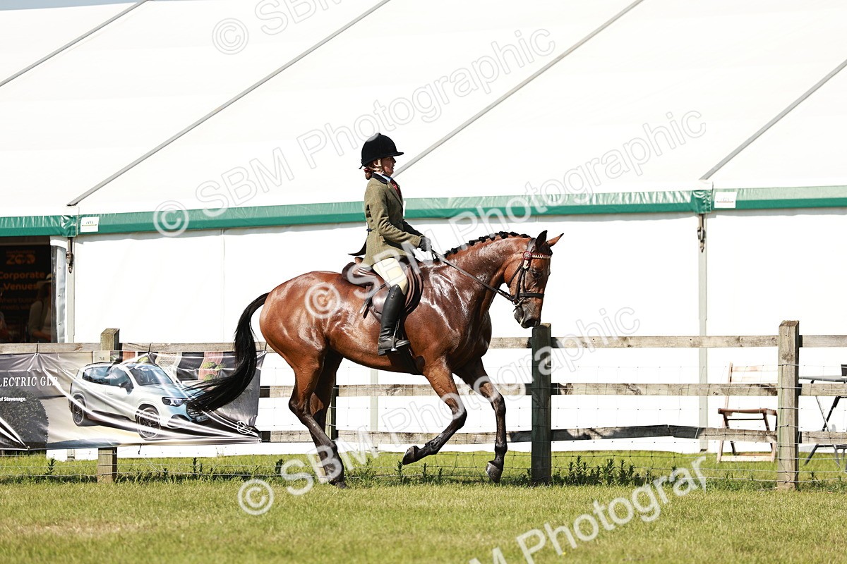 SBM_18879 - Class 114 - RIHS & SEIB Open Working Show Horse