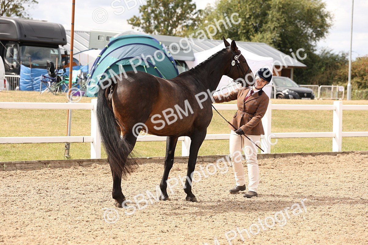 SBM_14672 - Class 208 - IH Veteran Horse