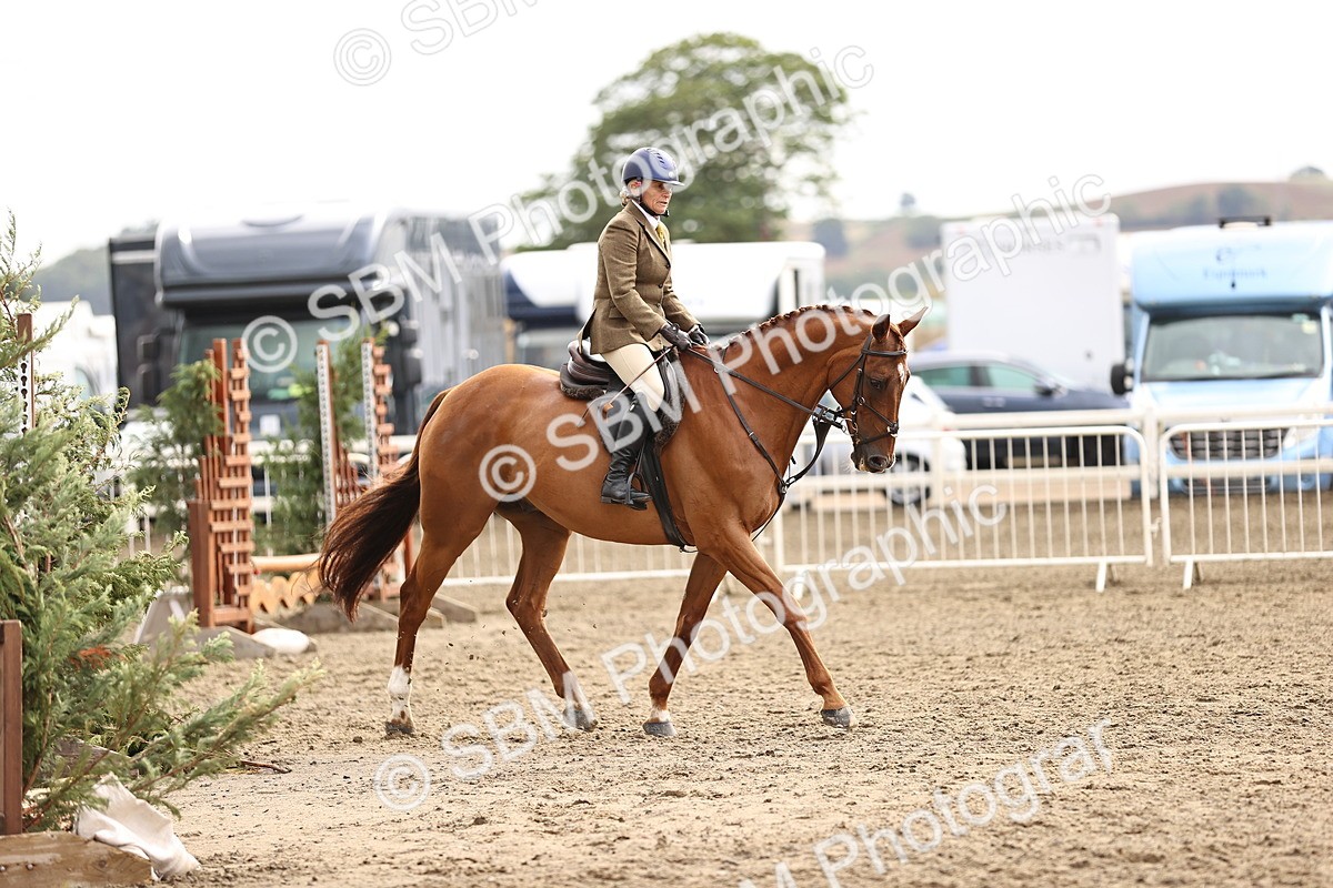 SBM_00649 - Class 53 - Ridden Competition Horse Pony