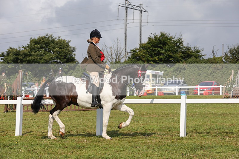 1X9A3464 - Skewbald and Piebald Ridden Championship