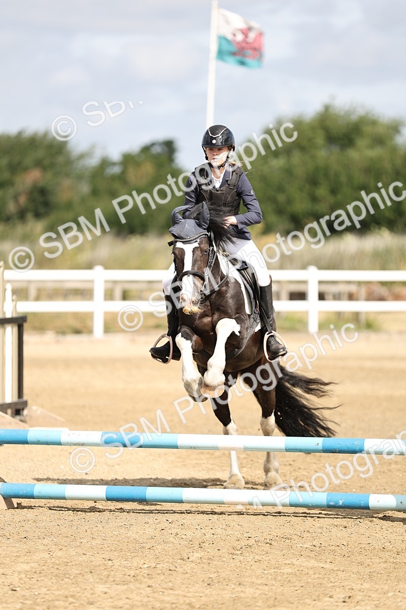 SBM_003479 - 50cm showjumping