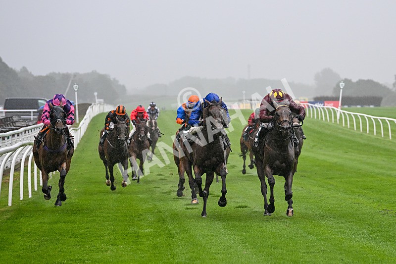 230725-Race 3-Emerald Army-0047 - Race 3