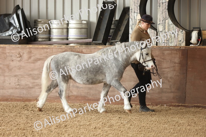 20251109-0574 - Class 22 - Geldings 4 Years and over