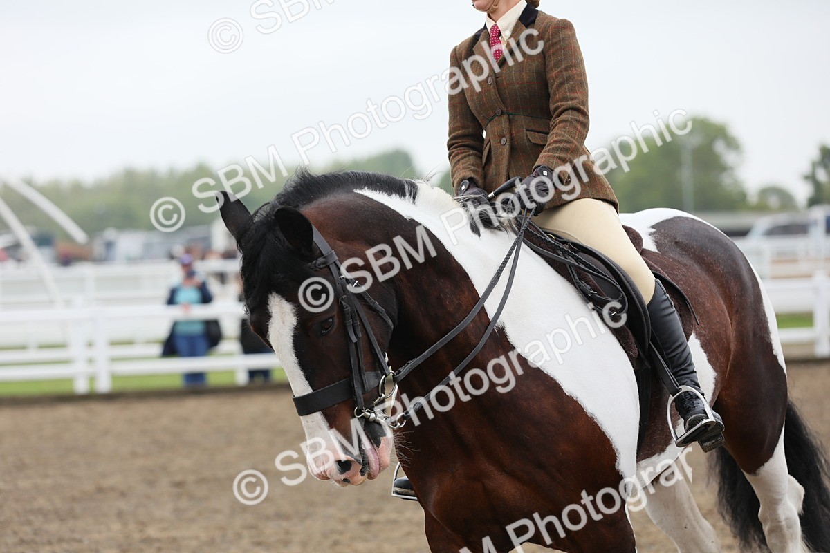 SBM_22315 - Class 807 - Young Rider 11 to 16 Yrs