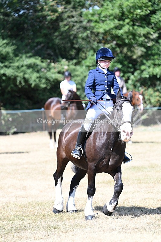 WJ7_3698 - Class 8 Ridden Veterans
