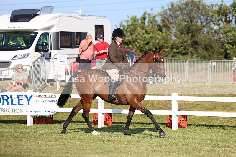 3E7A4940 - Class 1: Rising Star Small Hack/Riding Horses