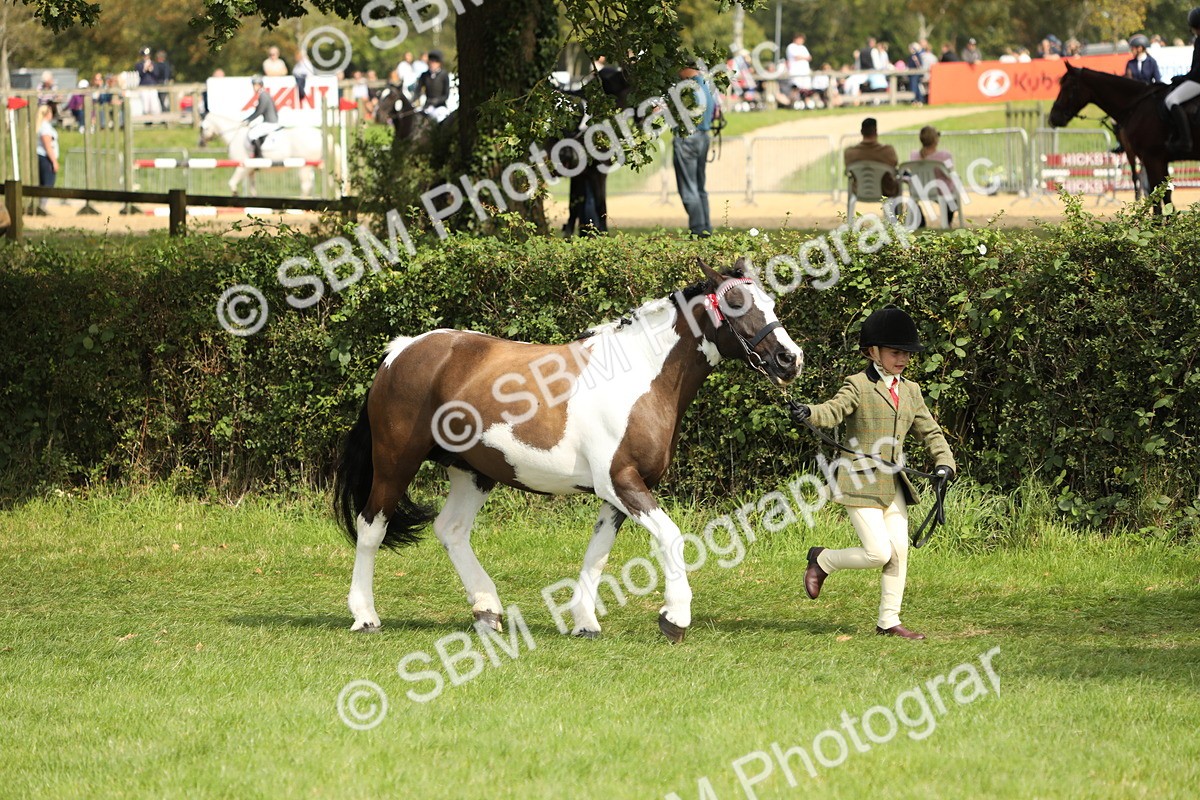 SBM_67726 - S39 - Junior Handler 8  Years & Under