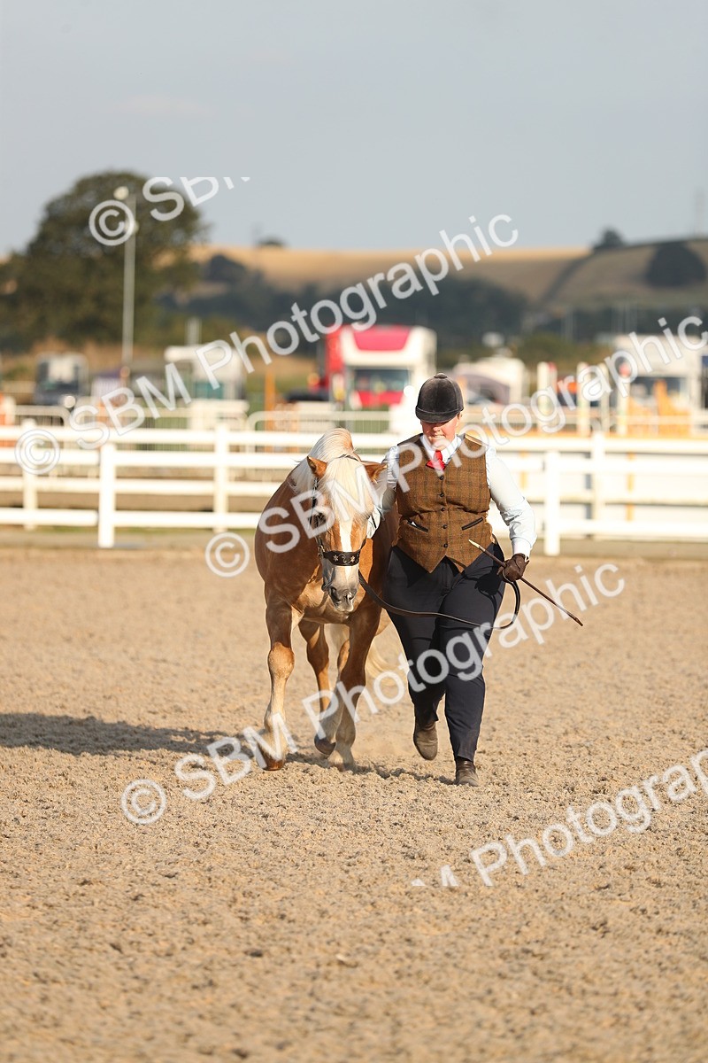 SBM_09046 - Class 29 IH Veteran Pony