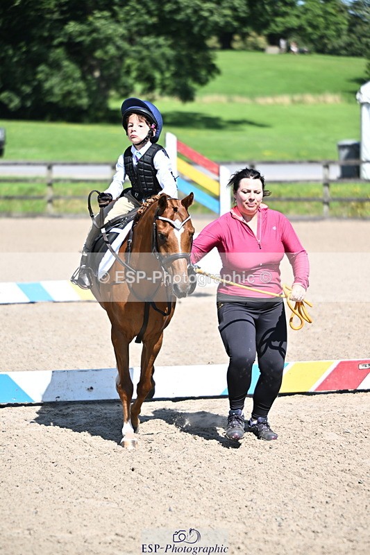 240729B-110652-02232 - Showjumping Competition