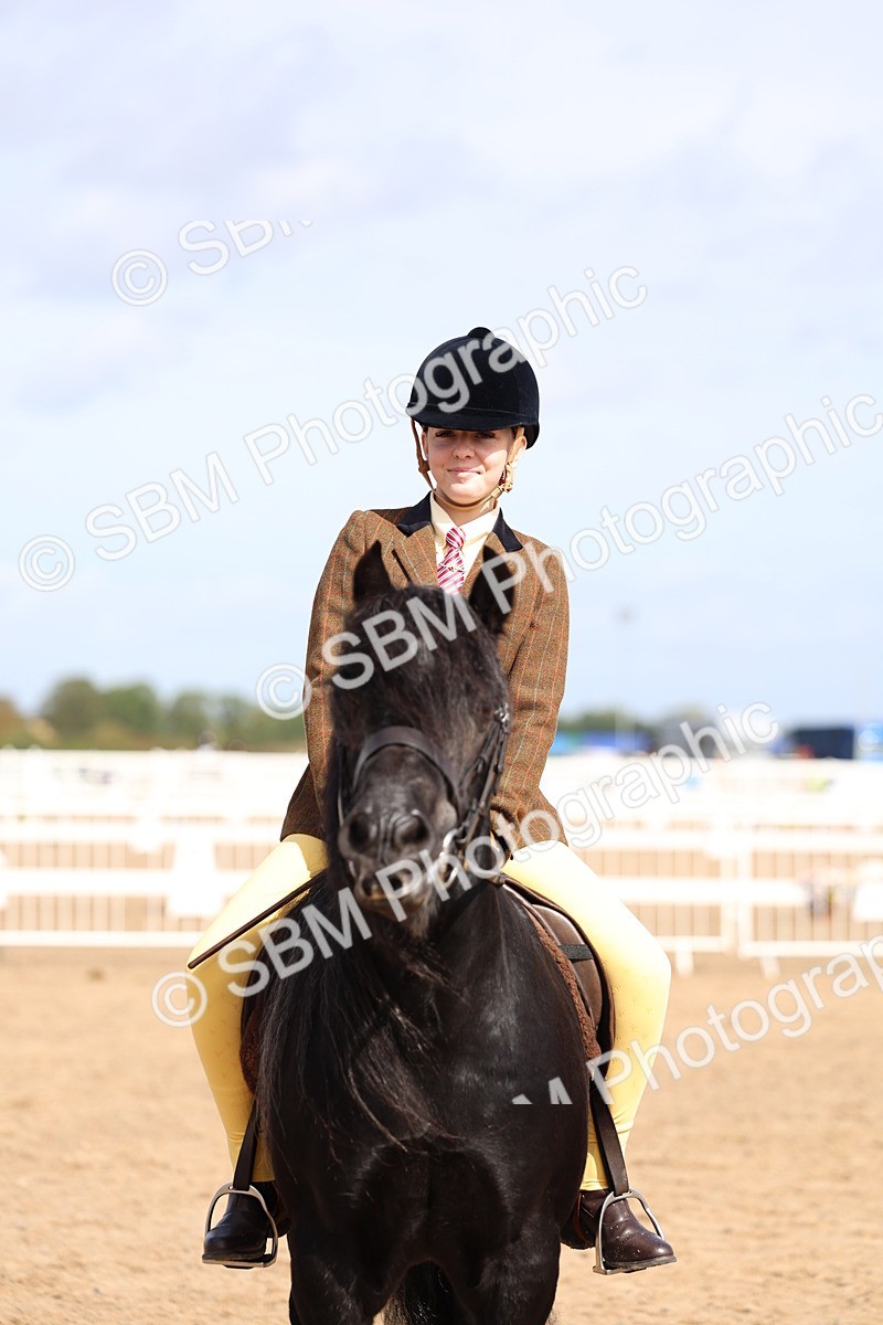 SBM_02379 - Class 19 - Horse or Pony Judge would most like to take home