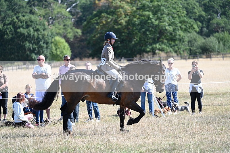 WJ7_3902 - Class 9 Mountain & Moorland Ridden