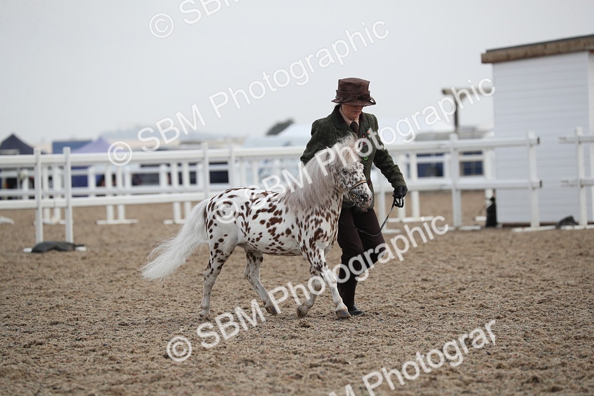SBM_23125 - Class 605 - 2025 Area - IH Veteran
