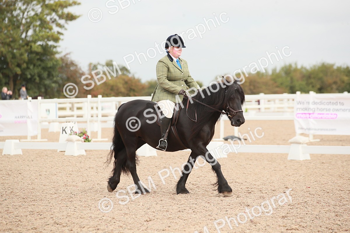 SBM_02557 - Class 30 - Intro 1