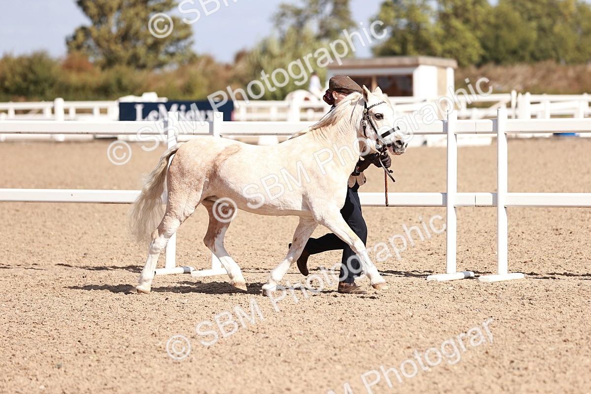 SBM_22877 - Class 706 - IH Veteran