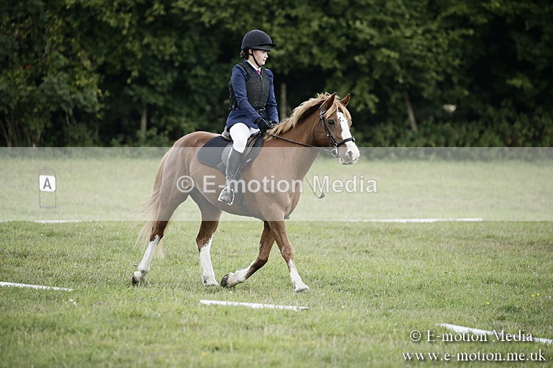 BVR090918 236 - BVRC Dressage and Show Jumping 09/09/18