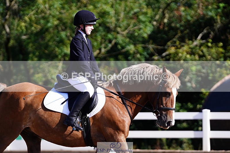 240809A-091044-00165 - Dressage Competition