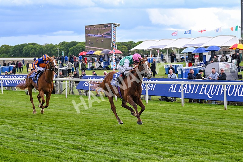 140526-Race 5-Item-5587 - Race 5 4.05pm Al Basti Equiworld Dubai Dante Stakes