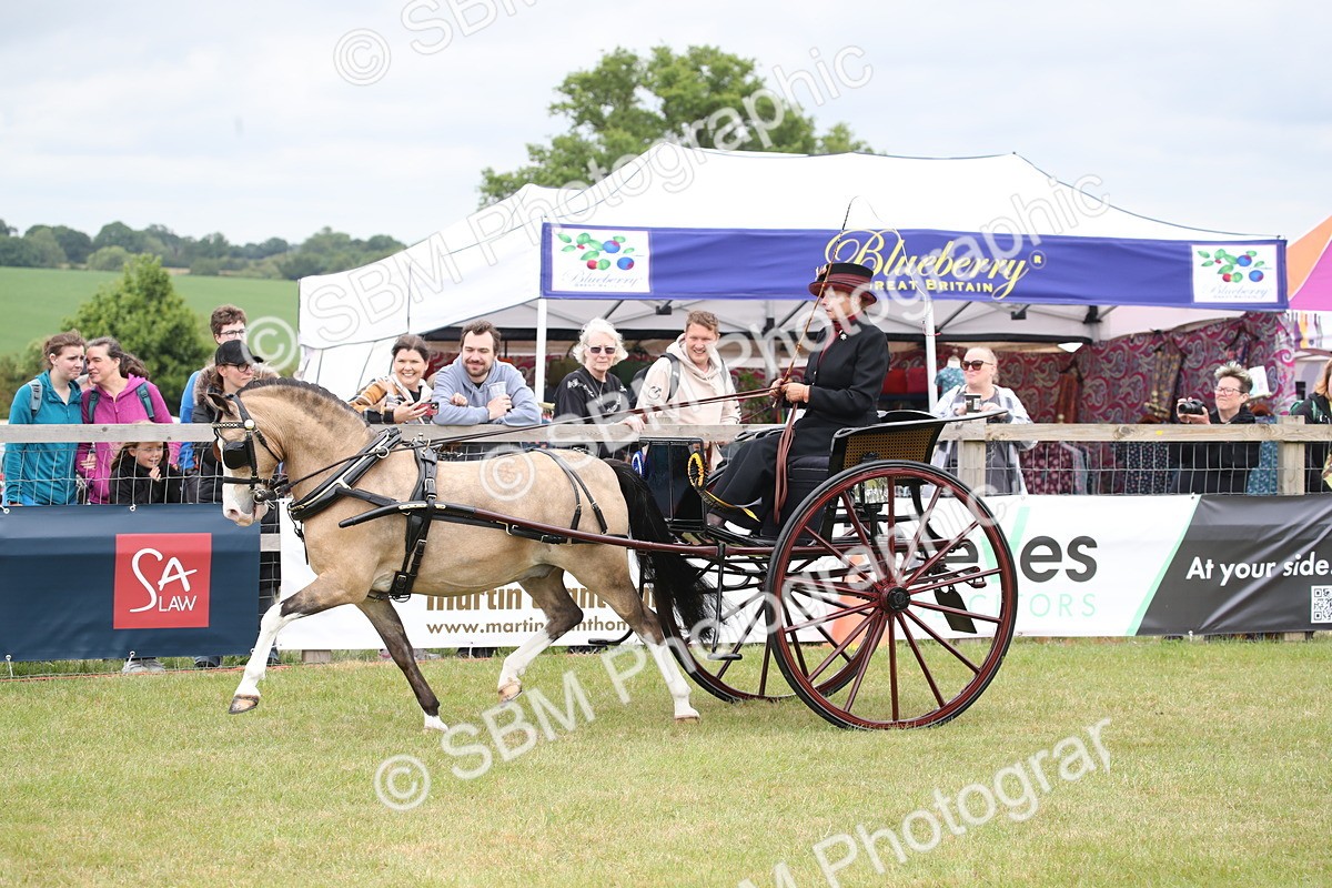SBM_05939 - Class 12-15 - HOYS Private Driving