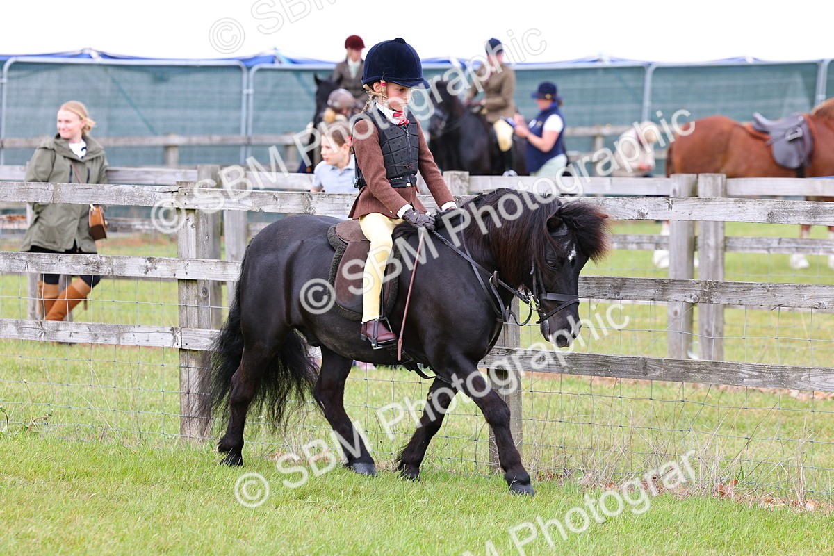 SBM_08491 - Class 42-43 - LIHS BSPS Heritage Working Sports Pony