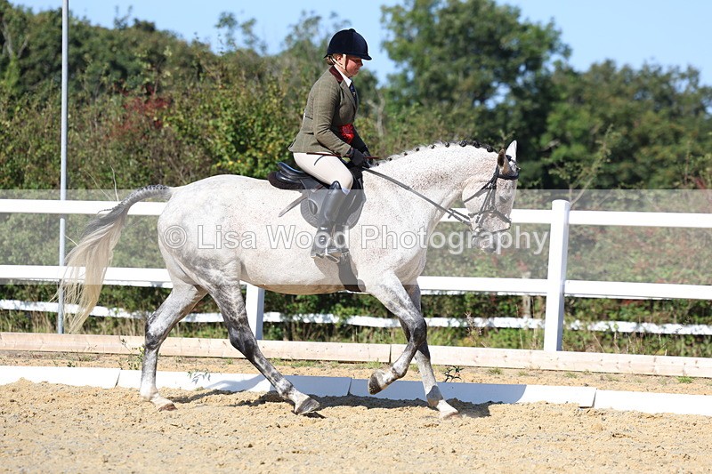 3E7A5644 - Class 9: Open Ridden Hunter