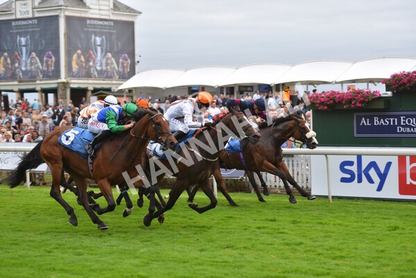 yr23072021r5-22 - Race 5 8.00pm Gallop Racing Stakes