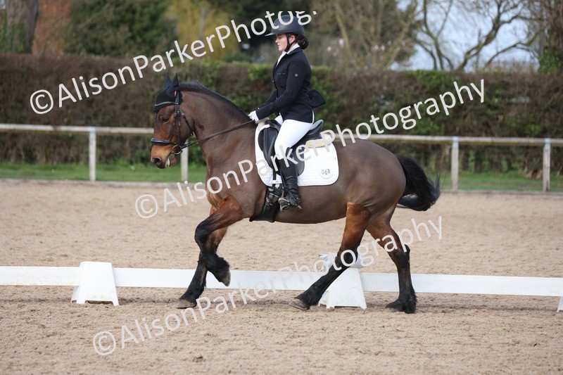 20260301-0842 - Class 5 - Elementary 4