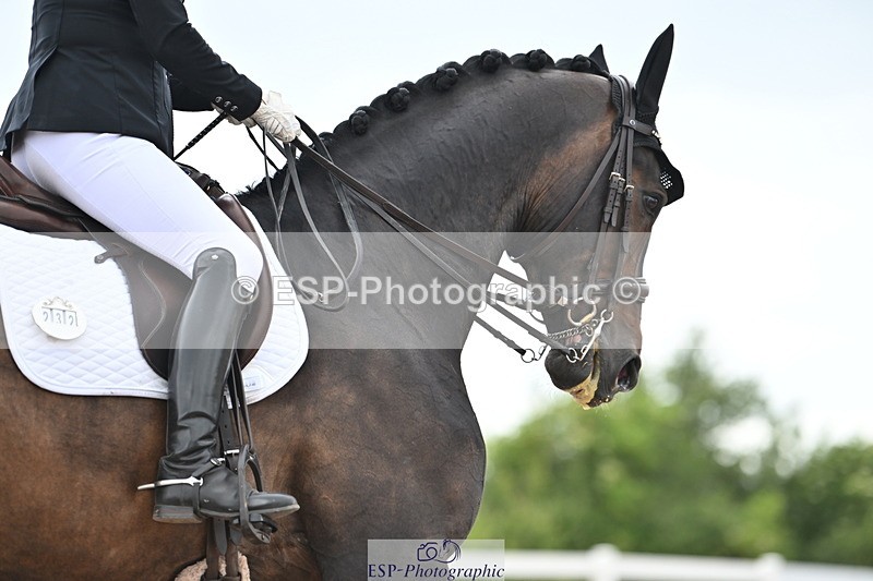 240621A-172350-05959 - Cls 14 BD Adv Medium 98