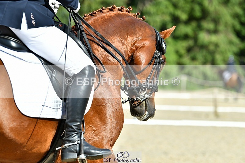 230623-164532-02893 - Cls 9 Advanced Medium 91Q