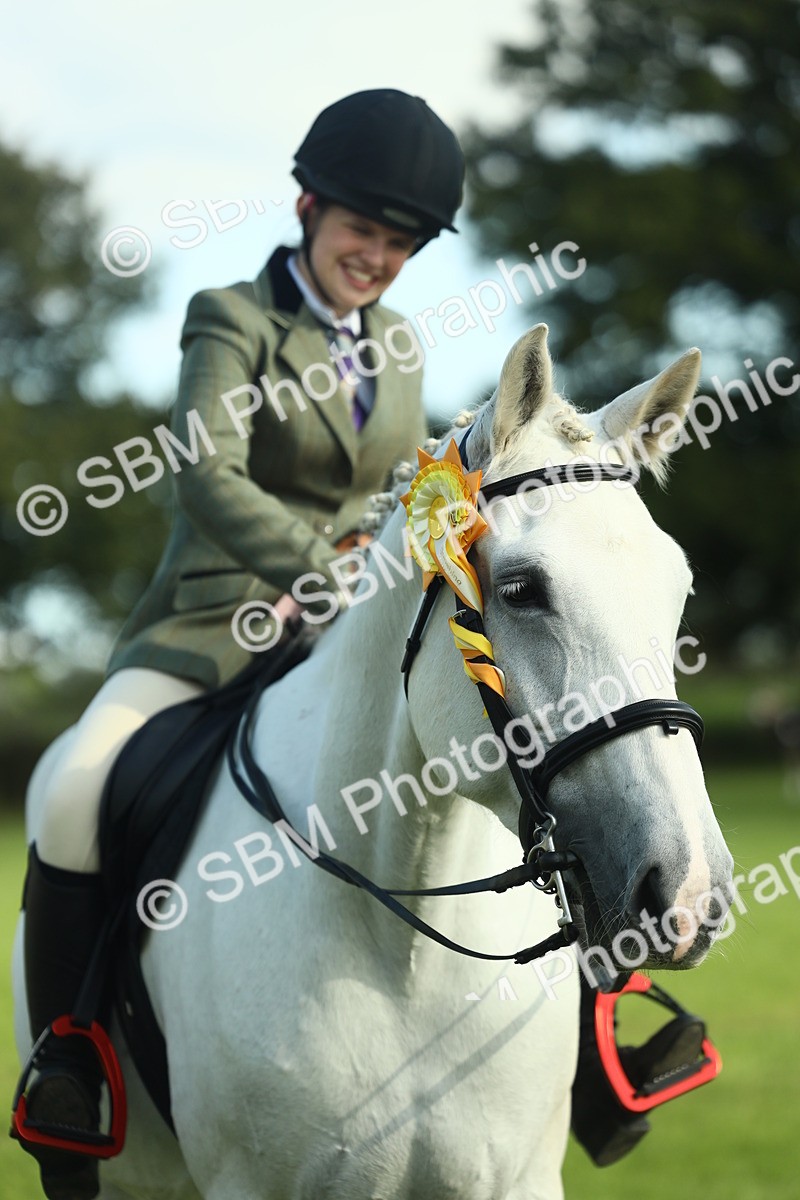 SBM_49935 - S32 - Novice & Newcomers Working Hunter