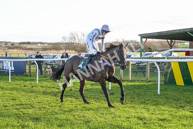 250225-Race 4-Master Breffni-8211 - Race 4