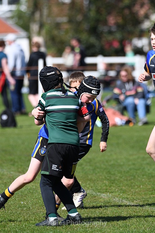  - Selby Rugby Festival 2025