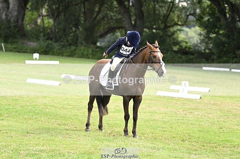 250821A-101952-14264 - DR 10.00 to 11.00